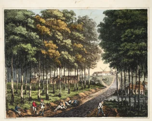 Jupe de la forêt de Soigne avec une vue lointaine du village de Mont St Jean